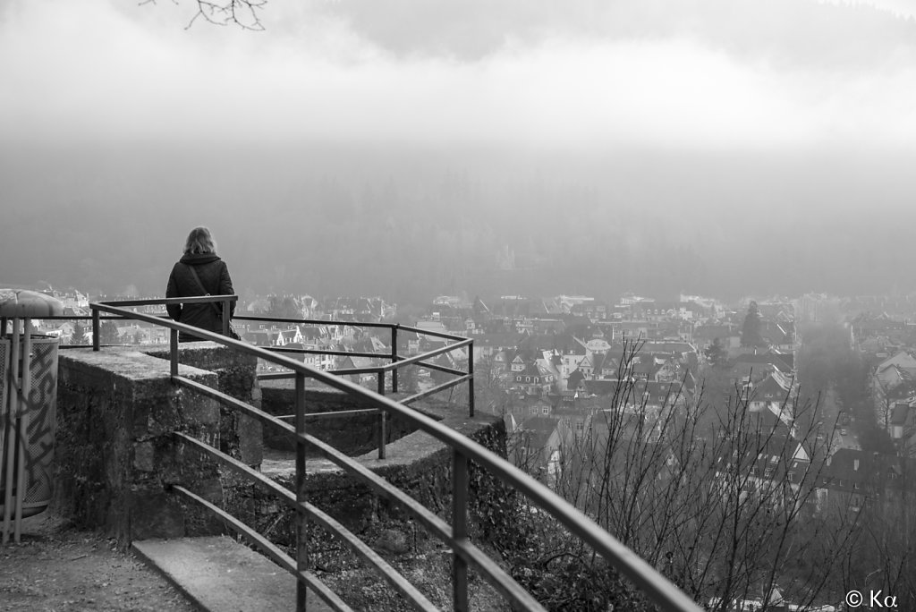 Freiburg im Breisgau