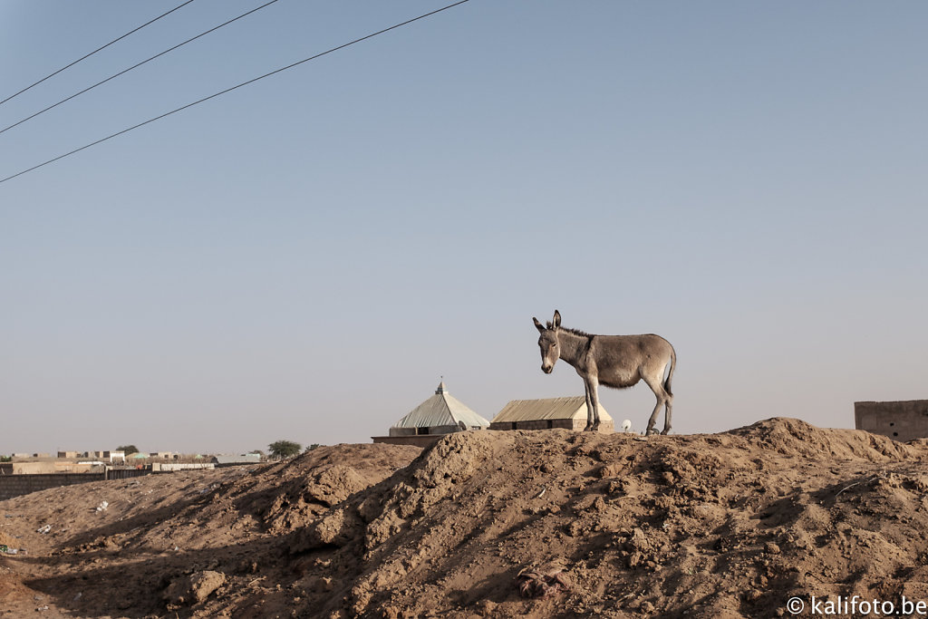 Nouakchott-4.jpg