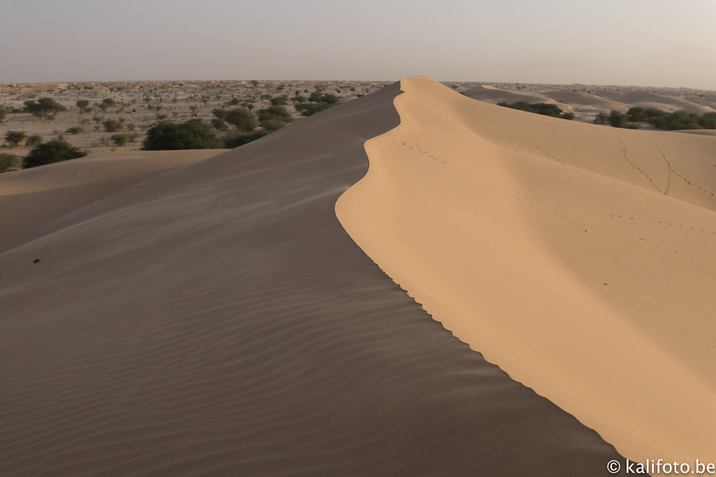 Nouakchott-13.jpg