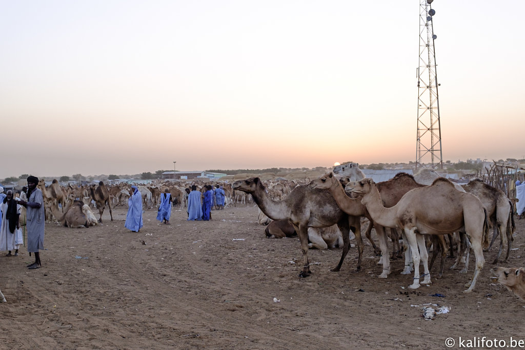 Nouakchott-20.jpg