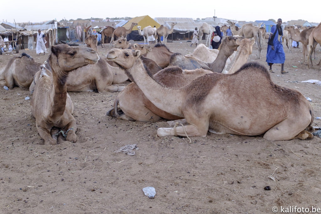 Nouakchott-27.jpg